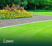 box-lawngarden-lawn