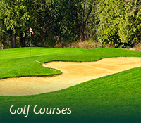 box-turfgrass-golfcourses