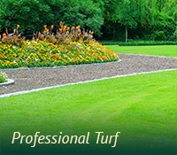 box-turfgrass-proturf